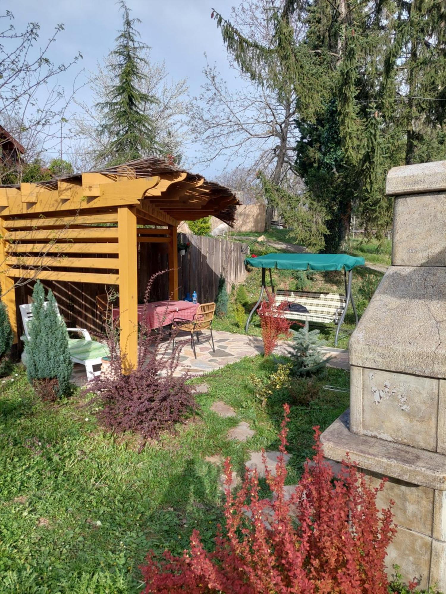 Brvnara Kraj Dunava Zelena Oaza Banostor Esterno foto